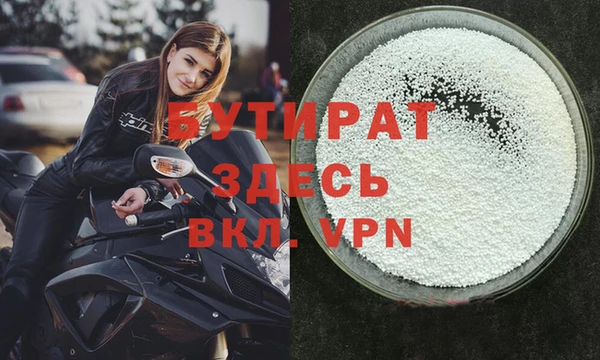 гидра Инта