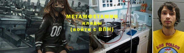 гидра Инта