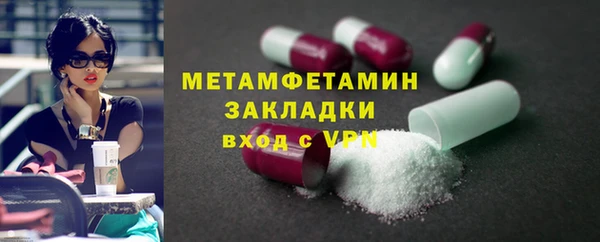 гидра Инта