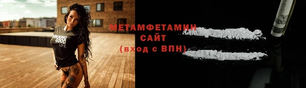 гидра Инта