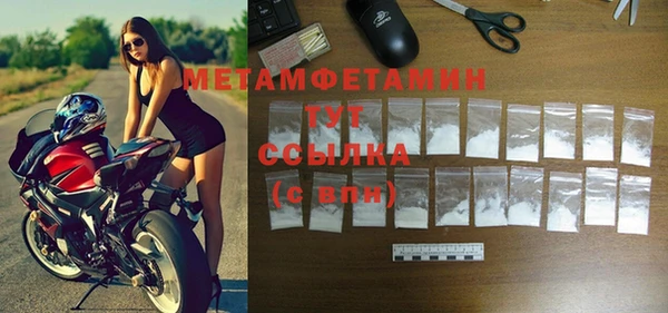 гидра Инта