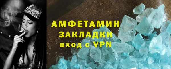 гидра Инта