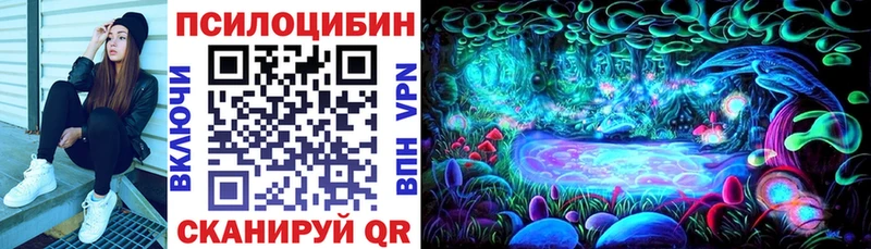 Купить  Заинск  Псилоцибиновые грибы MAGIC MUSHROOMS 