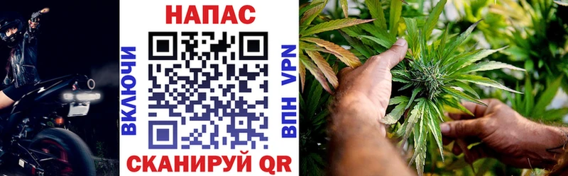 Бошки марихуана THC 21%  Купить  Заинск 